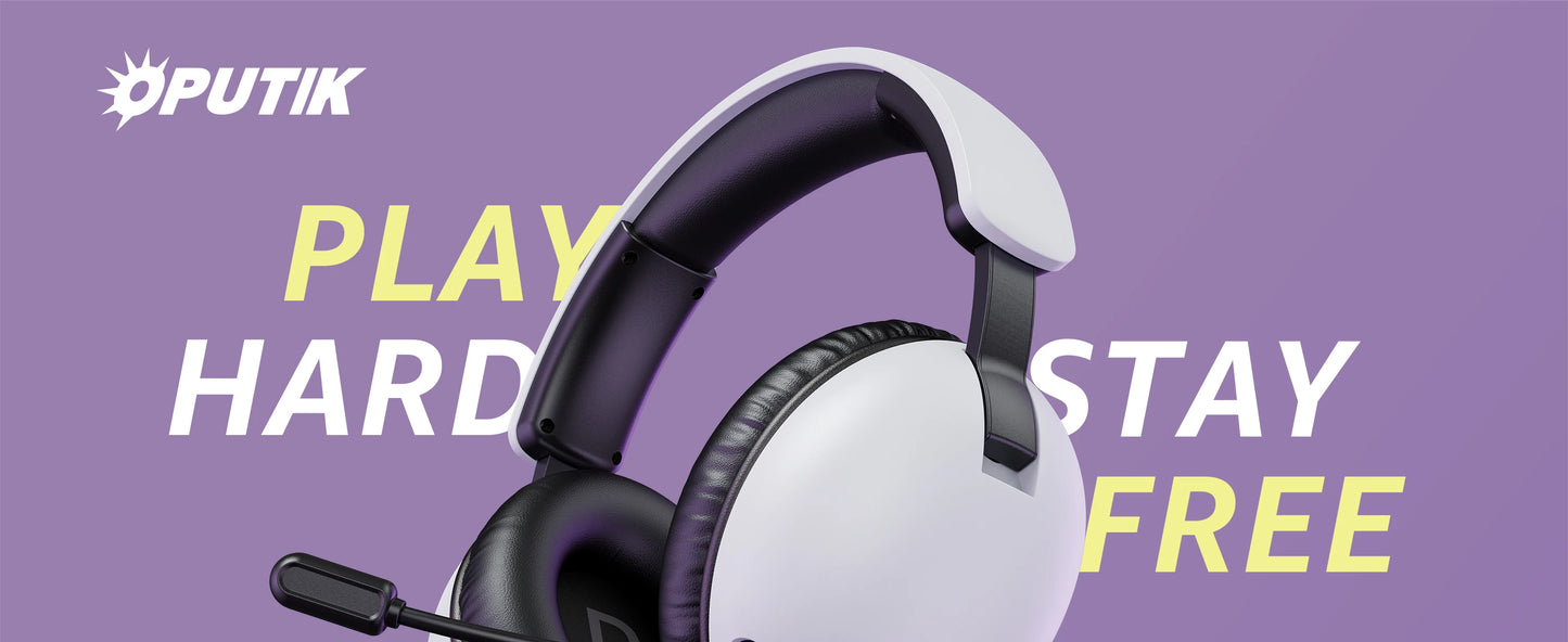 Acinaci BL500 Gaming Headset 2.4G with Noise-Canceling Mic 30-Hour Life,for PC PS4 PS5