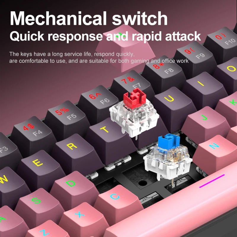 APAYADO K61 Mini Mechanical Keyboard,Wired,61 Keys,Phantom RGB, Black/White Red/Blue Mechanical Switch for Gaming,60% Portable
