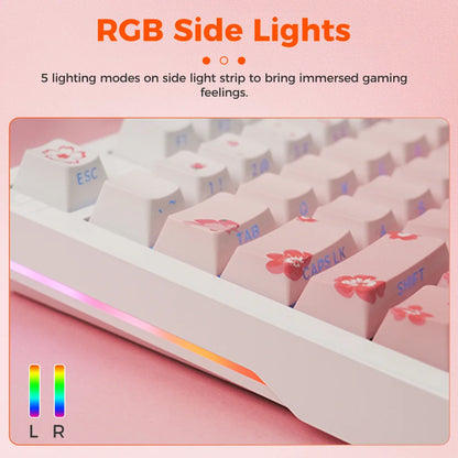 DAREU Tri-mode Gasket Mechanical Keyboard N-Key Rollover Anti-ghosting RGB Backlight Dream switch with Multi Media Button