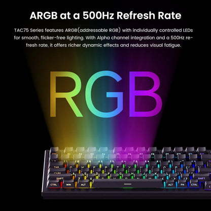 Teclado AKKO TAC75 HE com interruptores magnéticos, formato 75%, teclado gaming Rapid Trigger 0.005mm 8K RGB com fio, teclado personalizado para esports para gamers