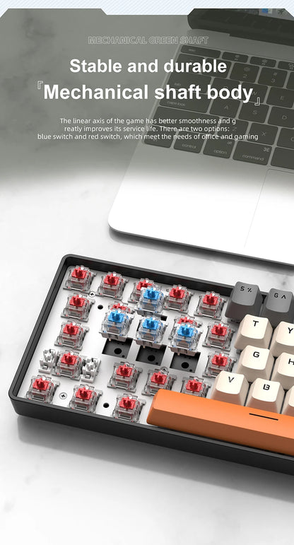 61 Keys Mechanical Keyboard Wired,APAYADO K61 RGB 60% Portable Mini Keyboard Black,White, Red/Blue Switch for Gaming