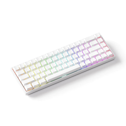 Akko MonsGeek FUN68 HE Magnetic Keyboard 65% Rapid Trigger 0.005mm 8000Hz ARGB USB/Wireless Gaming Custom Keyboard for Gamer
