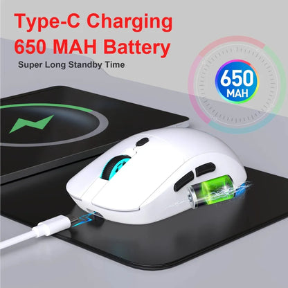 2.4G Wireless Rechargeable Mouse 650mAh Adjustable 3600DPI 7 Colors RGB Lighting Ergonomic Silent for Office Laptop PC Gaming