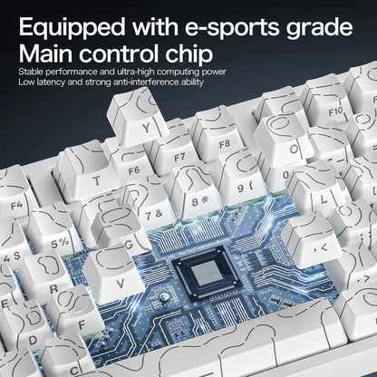 ATTACK SHARK R82 HE 75% Magnetic Keyboard 8000Hz Rapid Trigger 0.005mm RT 0.08ms Latency RGB Wired Gaming Keyboard