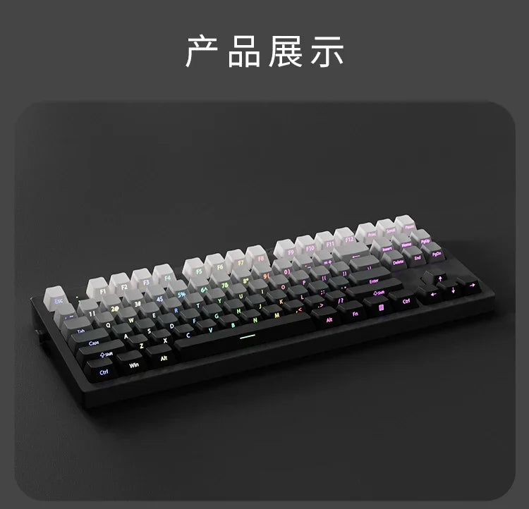 2025 Original Daylight Keycaps PTB Translucent, Side-engraved Oem 136 Keys, Customized To Fit 60/84/98/108 Mechanical Keyboards.