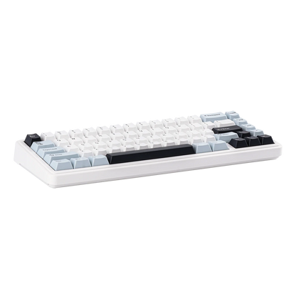 EPOMAKER x AULA F65 65% Layout Wired/Bluetooth 5.0/2.4G Wireless Hot-Swap Gasket-mounted Mechanical Gaming Keyboard for Mac/Win