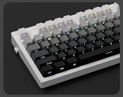 2025 Original Daylight Keycaps PTB Translucent, Side-engraved Oem 136 Keys, Customized To Fit 60/84/98/108 Mechanical Keyboards.